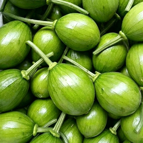 Mini Elf Pumpkin Seeds – High-quality early-maturity variety, high-yielding, strong resistance, easy to grow