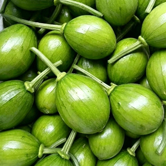 Mini Elf Pumpkin Seeds – High-quality early-maturity variety, high-yielding, strong resistance, easy to grow