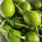 Mini Elf Pumpkin Seeds – High-quality early-maturity variety, high-yielding, strong resistance, easy to grow