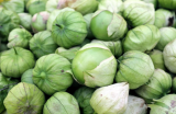 Grande Rio Verde TOMATILLO Green Physalis Ixocarpa Vegetable Seeds