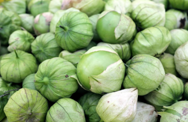 Grande Rio Verde TOMATILLO Green Physalis Ixocarpa Vegetable Seeds