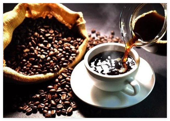Yemeni Coffee Bean Tree Seeds / Mocca Peaberry/Sa'Dah Governate/Rare
