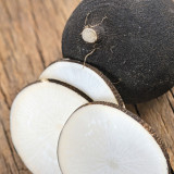 Black Skin Cherry Radish Seeds – Rare Black Skin White Flesh, Crisp Texture, Easy to Grow, Spring Autumn Planting