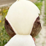 Black Skin Cherry Radish Seeds – Rare Black Skin White Flesh, Crisp Texture, Easy to Grow, Spring Autumn Planting