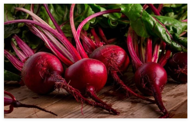 Red Improved Beet Pickling Pickled Heirloom Premium Seed Packet