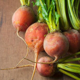 Yellow Beetroot Seeds – Early maturing, high yielding, sweet golden flesh, perfect for juicing and baking