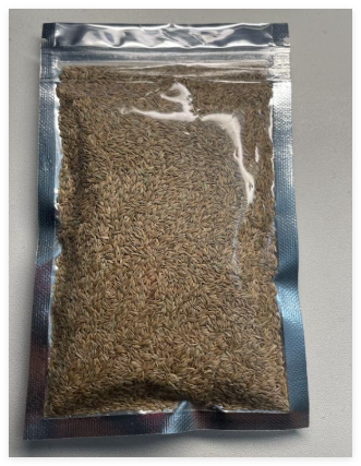 Zoysia Grass Seeds for a Healthy, Low-Maintenance Lawn