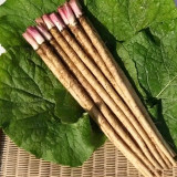 Burdock Seeds - Easy to plant and manage, loves light, strong tolerance to cold and heat, versatile in use
