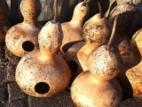 Martin Birdhouse Gourd Seeds, Heirloom, Eco-Friendly Birdhouse