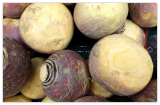 Laurentian Rutabaga Seeds, Non-GMO, Swedes, Canadian Turnips