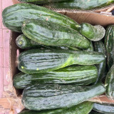 Black Ribbed Crisp Melon Seeds – Early maturing, heat tolerant, tender crisp texture, high yielding, versatile use