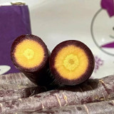 Purple Skin Yellow Flesh Carrot Seeds - Easy to Grow, High Sweetness, Crispy Texture, Perfect for Juicing and Raw Eating
