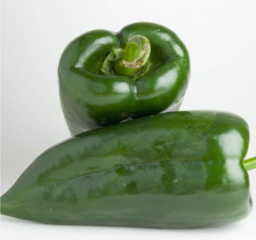Poblano Pepper Seeds | Heirloom/Non-GMO | | Open Pollinated