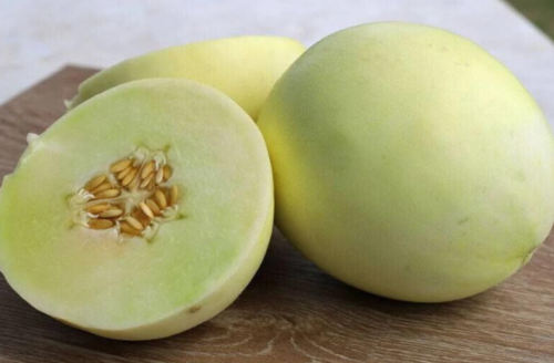 Earli Dew Honeydew Melon Seeds (Treated) - Musk Muskmelon Earlidew Hybrid