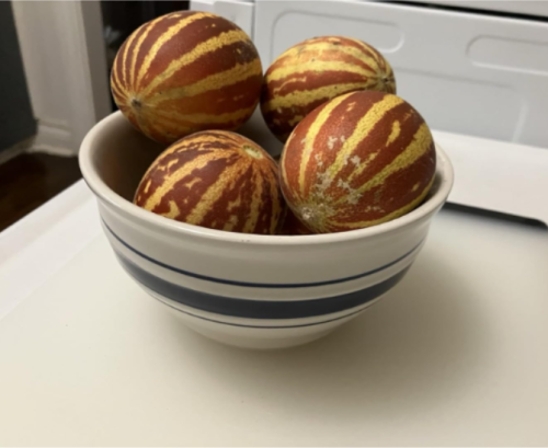 Rich Sweetness Melon Seeds Heirloom Non-GMO
