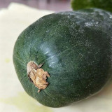 Little Darling Melon Seeds – High Yield, Easy to Grow, Strong Adaptability, Suitable for All Growers