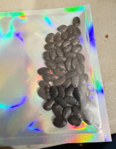 Black Tepary Bean Seeds