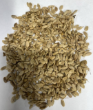 Osage Orange Seeds