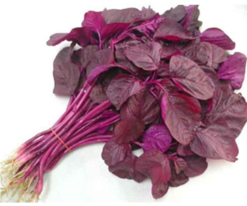 Non-GMO Asian Vegetable Red Amaranth Seeds