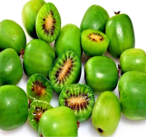 Issai Kiwi Seeds Grape Berry Superfruit Garden Plant Cold Hardy Fast Vine