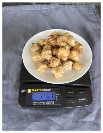 1 lb of Sunchokes/Jerusalem Artichoke tubers
