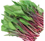 Non-GMO Asian Vegetable HongTai Choy Red Seeds