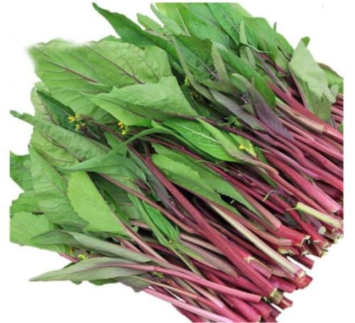 Non-GMO Asian Vegetable HongTai Choy Red Seeds