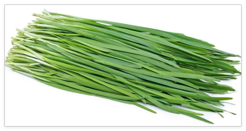 Chinese Leeks Garlic Chives Seeds