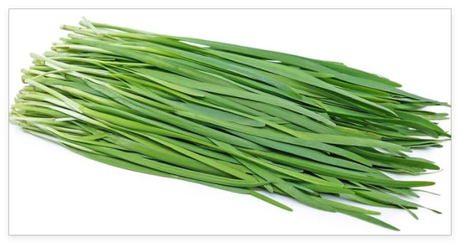Chinese Leeks Garlic Chives Seeds