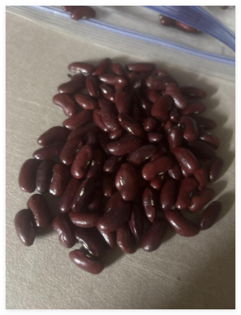 Red Kidney Bean Seeds