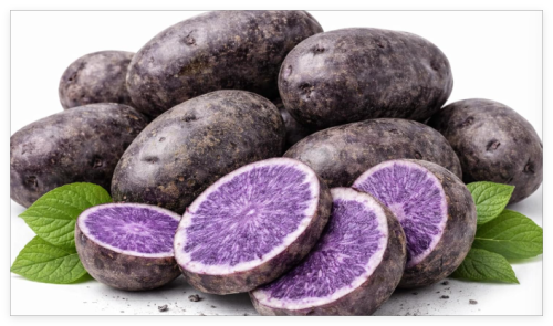 Purple Seed Potatoes for Planting - Easy Grow (3 Pound Bag) Heirloom Potato