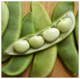 Fordhook 242 Lima Bean Seeds - for New Planting AAS Winner Large