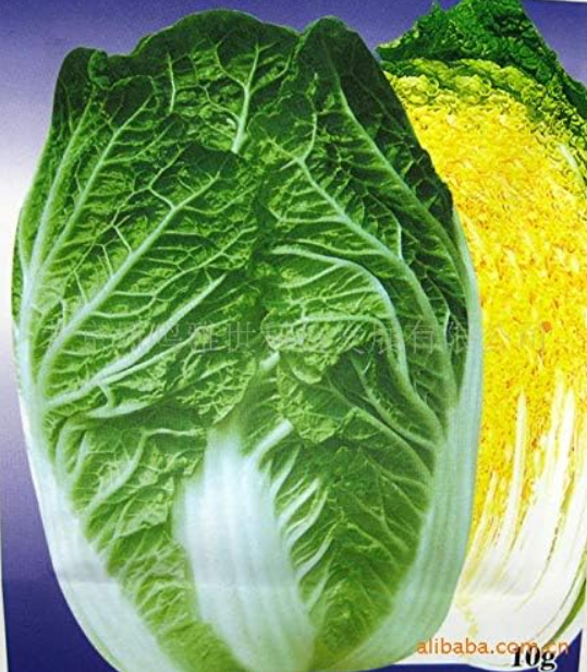 Huanglong Chun Cabbage Seed Hot Nutrition Vegetable Seed