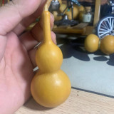 Tianjin Mouth Gourd Seeds – Premium Featured Variety, Easy to Cultivate, Excellent Ornamental Value