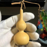 Tianjin Mouth Gourd Seeds – Premium Featured Variety, Easy to Cultivate, Excellent Ornamental Value