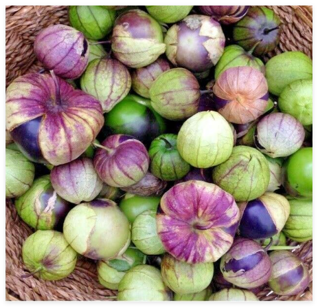 Purple DE MILPA TOMATILLO Seed Organic Summer Vegetable Garden Container Easy