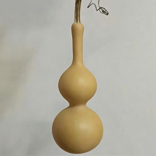 Tianjin Mouth Gourd Seeds – Premium Featured Variety, Easy to Cultivate, Excellent Ornamental Value