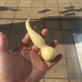 Twisted-Handle Ornamental Gourd Seeds - Easy to Grow, Unique Shape, Perfect for Gardening Enthusiasts
