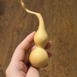 Twisted-Handle Ornamental Gourd Seeds - Easy to Grow, Unique Shape, Perfect for Gardening Enthusiasts