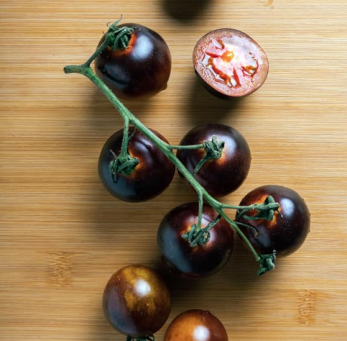 Organic Queen of the Night Tomato Fresh Seeds