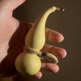 Twisted-Handle Ornamental Gourd Seeds - Easy to Grow, Unique Shape, Perfect for Gardening Enthusiasts