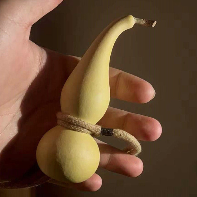 Twisted-Handle Ornamental Gourd Seeds - Easy to Grow, Unique Shape, Perfect for Gardening Enthusiasts
