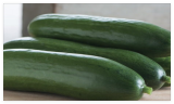 Diva Cucumber Seeds, Hybrid, Parthenocarpic