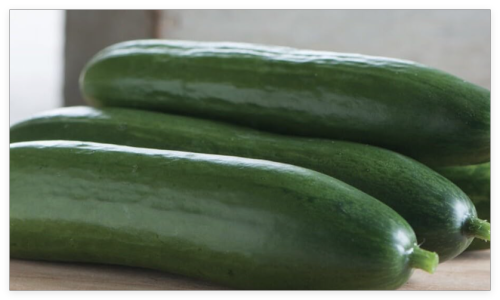 Diva Cucumber Seeds, Hybrid, Parthenocarpic