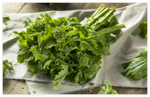 Broccoli Raab Rapini Seeds - Organic, Heirloom, Non-GMO - Grow Your Own
