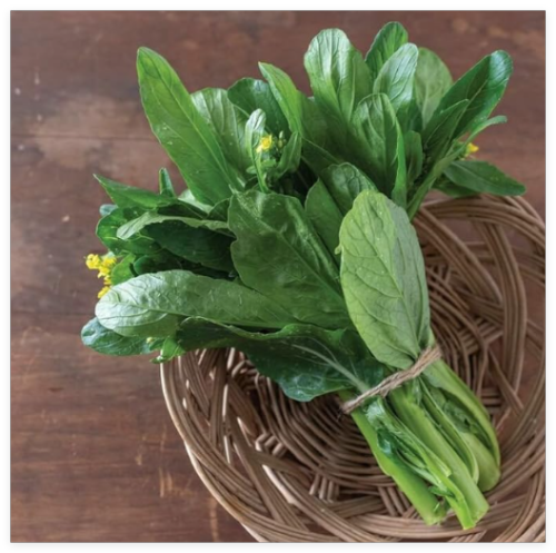 Asian Yu Choy Seeds, Choi Sum, Chinese Flowering Cabbage