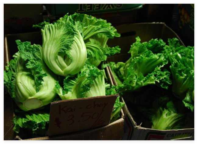 Oriental Mustard Seeds Chinese GAI Choy, Brassica Juncea