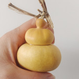 Money Bag Eight Treasures Gourd Seeds – Unique Variety, Easy to Grow, Suitable for Garden or Pot Planting