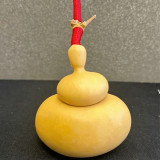Money Bag Eight Treasures Gourd Seeds – Unique Variety, Easy to Grow, Suitable for Garden or Pot Planting