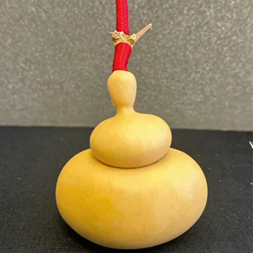 Money Bag Eight Treasures Gourd Seeds – Unique Variety, Easy to Grow, Suitable for Garden or Pot Planting